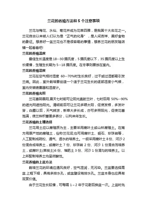 兰花的养殖方法和5个注意事项