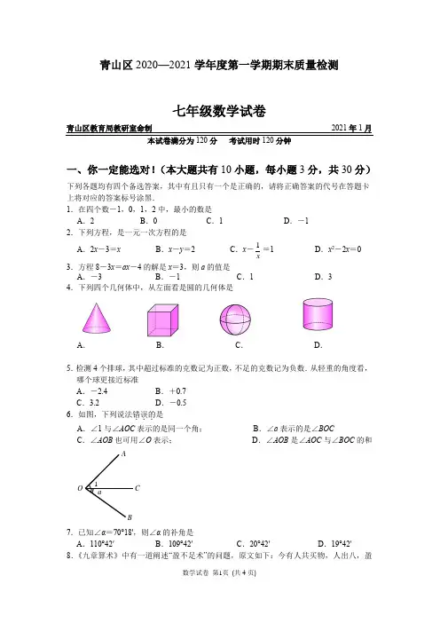 湖北省武汉市青山区2020—2021学年七年级第一学期数学期末质量检测(含答案)