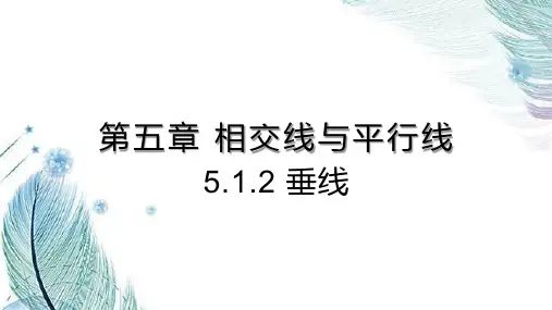 人教版数学七下 5.1.2 垂线 课件