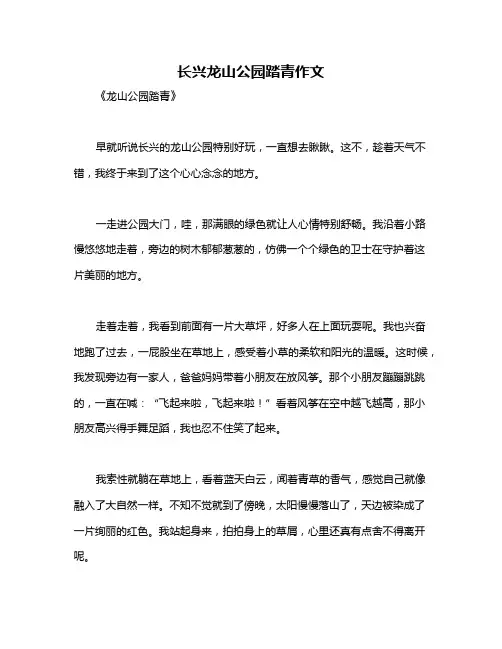 长兴龙山公园踏青作文