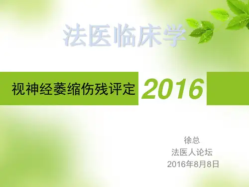 视神经萎缩伤残鉴定