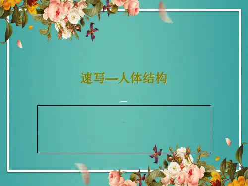 速写—人体结构共28页文档