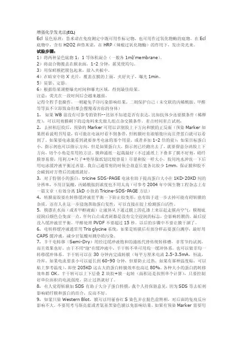 增强化学发光法