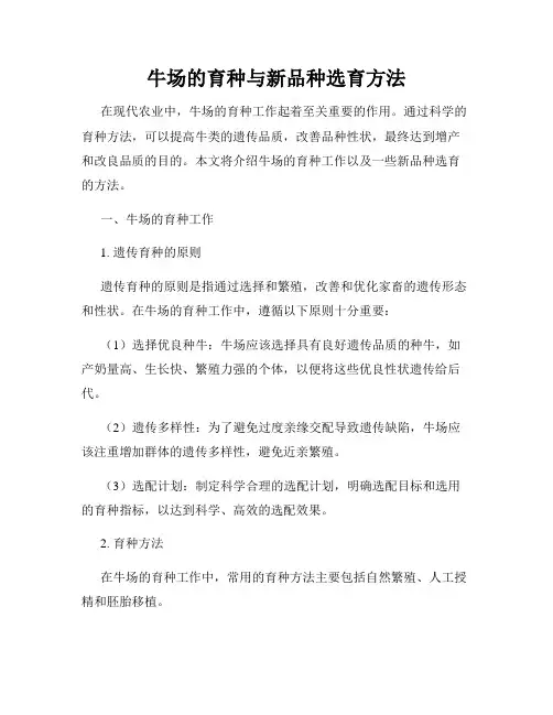 牛场的育种与新品种选育方法