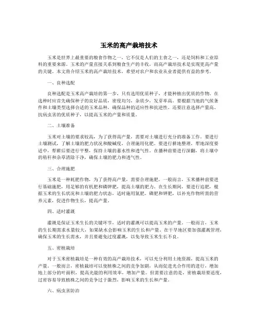 玉米的高产栽培技术