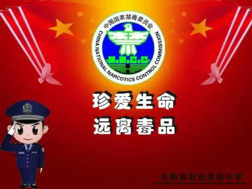 第十二讲国际禁毒形势