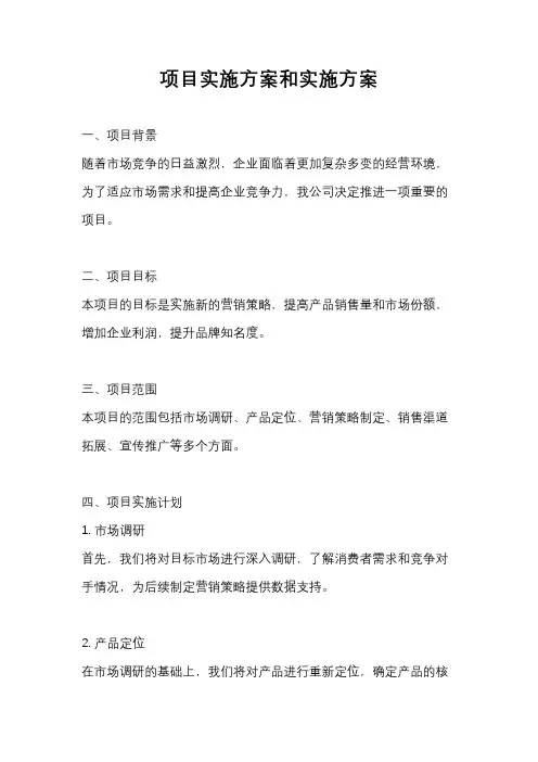 项目实施方案和实施方案