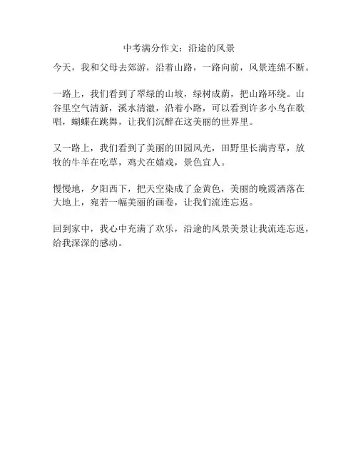 中考满分作文：沿途的风景