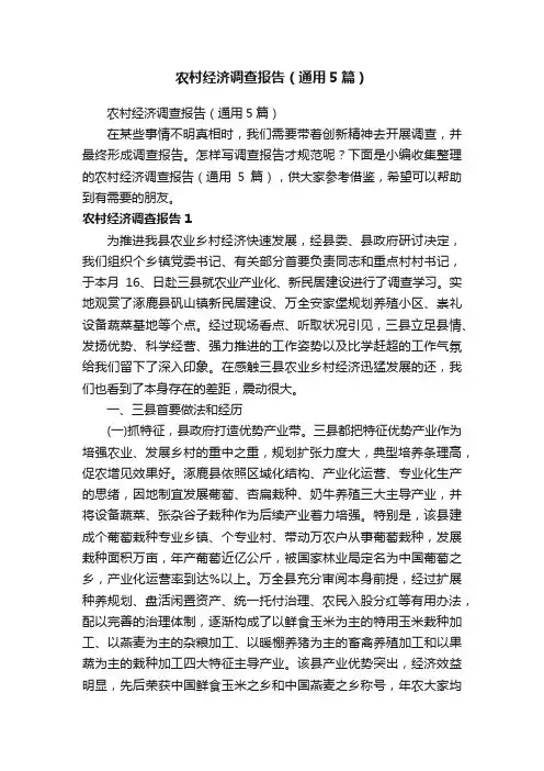 农村经济调查报告（通用5篇）