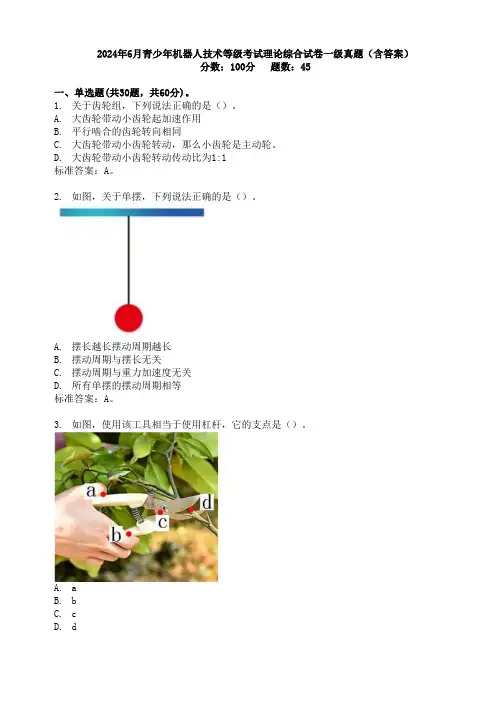 2024年6月青少年机器人技术等级考试理论综合试卷一级真题(含答案)