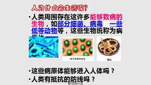 人体的免疫系统PPT课件