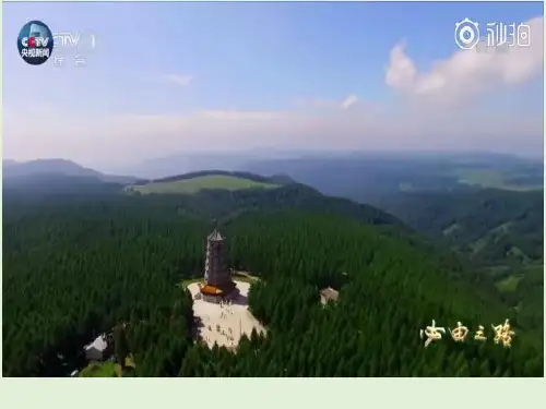 高中生物必修3《第3章生物群体的动态平衡第2节群落的相对稳定三群落的演替...》134北师大PPT课件