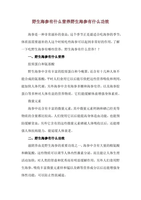 野生海参有什么营养 野生海参有什么功效