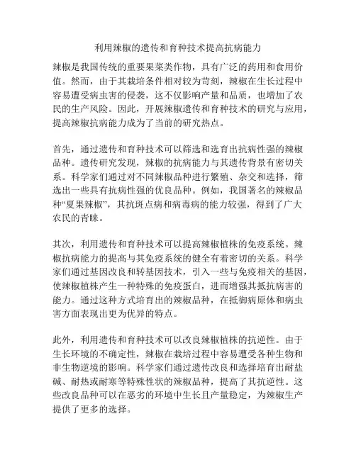 利用辣椒的遗传和育种技术提高抗病能力