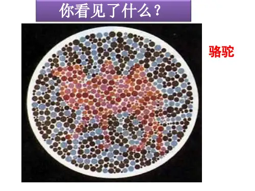 高中生物人教版必修二之5.3人类遗传病