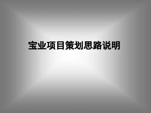 宝业项目策划思路说明ppt40(1)