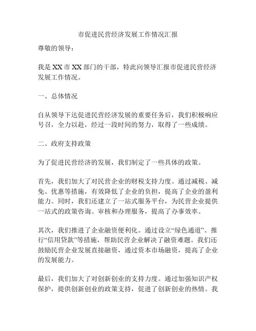 市促进民营经济发展工作情况汇报