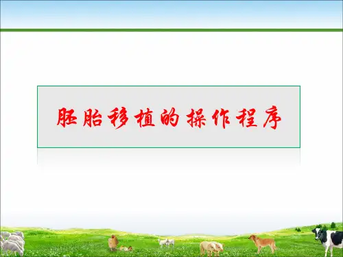 胚胎移植的操作程序课件(共27张PPT)《畜禽繁殖》同步教学(中国农业出版社)