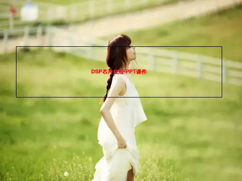 DSP芯片应用-PPT课件