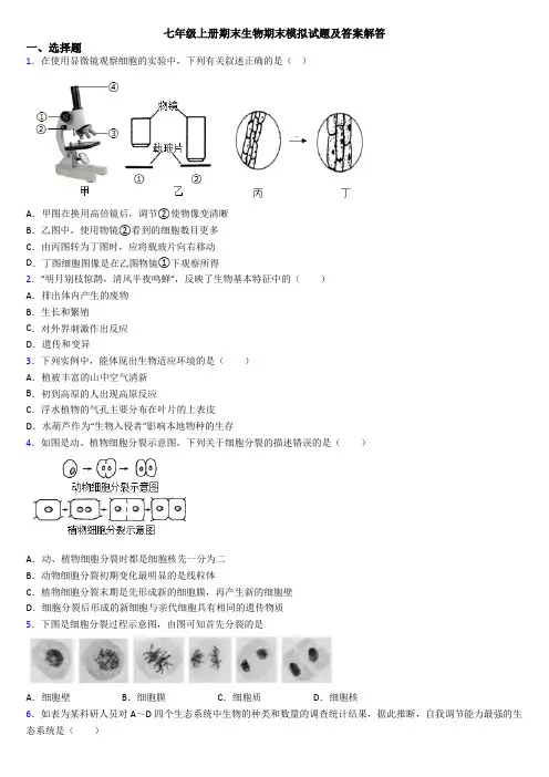 七年级上册期末生物期末模拟试题及答案解答