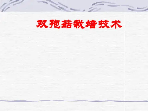 双孢菇栽培技术