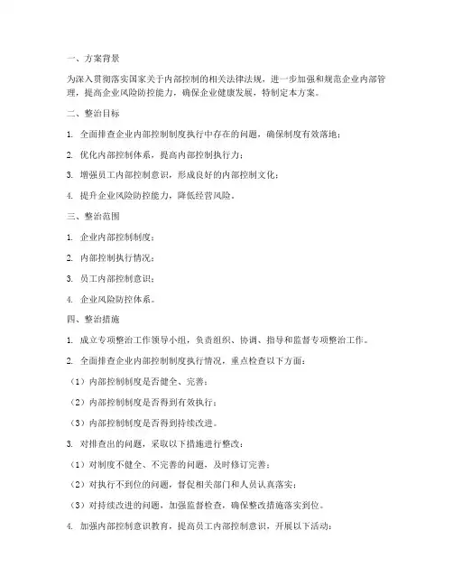 内控执行专项整治方案