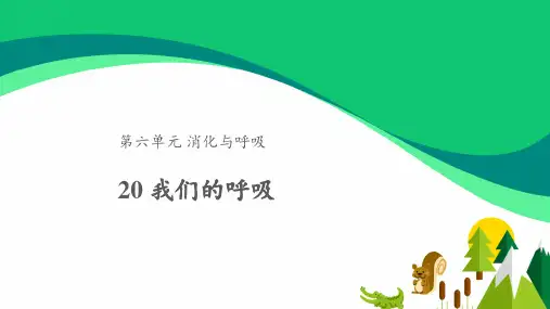 《我们的呼吸》课件1 (1)