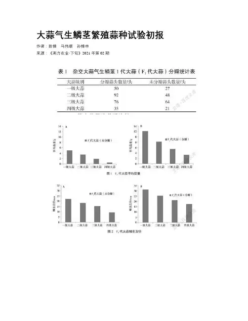 大蒜气生鳞茎繁殖蒜种试验初报  