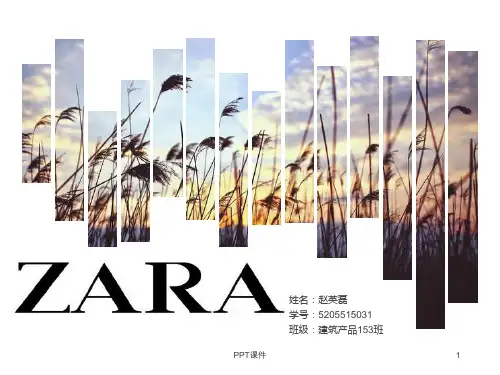 zara空间设计案例分析  ppt课件