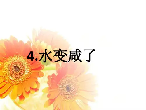 四年级上册科学水变咸了