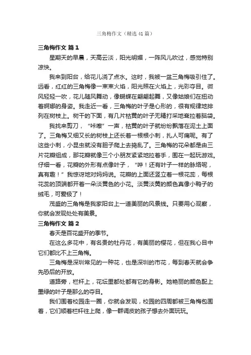 三角梅作文（精选41篇）