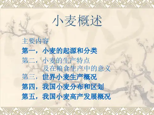小麦概述