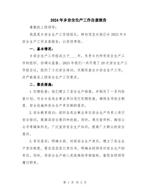 2024年乡安全生产工作自查报告