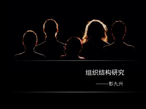 六种组织结构