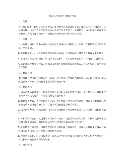 机场净空信鸽专项整治方案