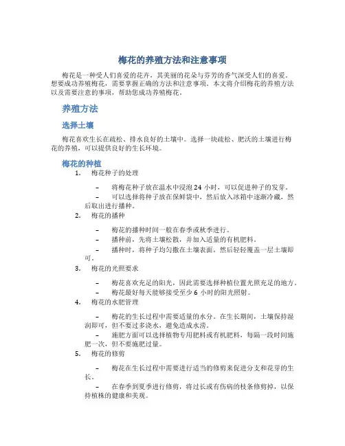 梅花的养殖方法和注意事项