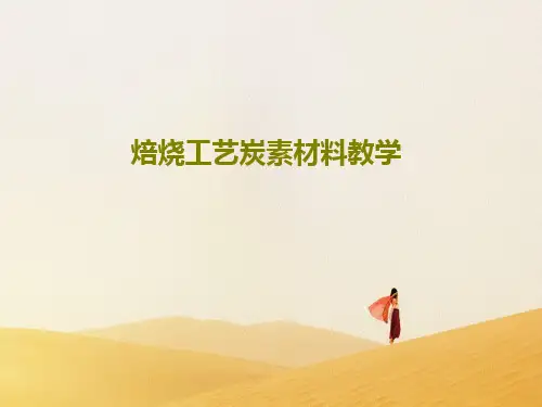 焙烧工艺炭素材料教学PPT共23页