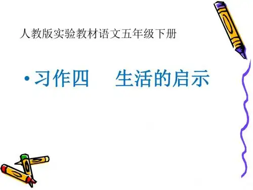 《生活的启示》ppt