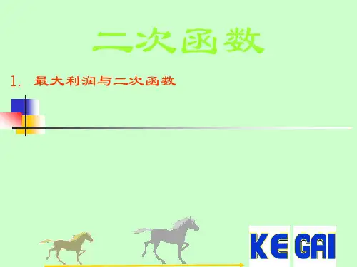 二次函数最大利润问题