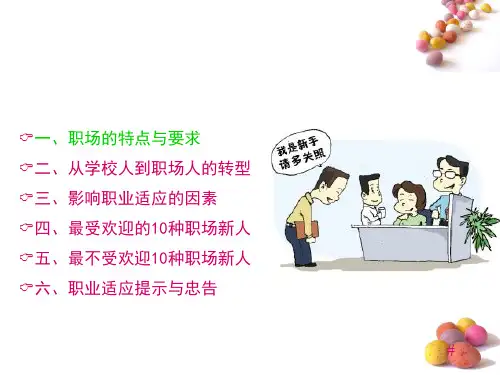 职业适应与发展ppt课件