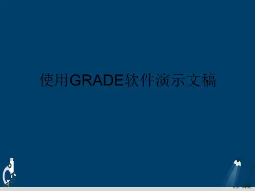 使用GRADE软件演示文稿