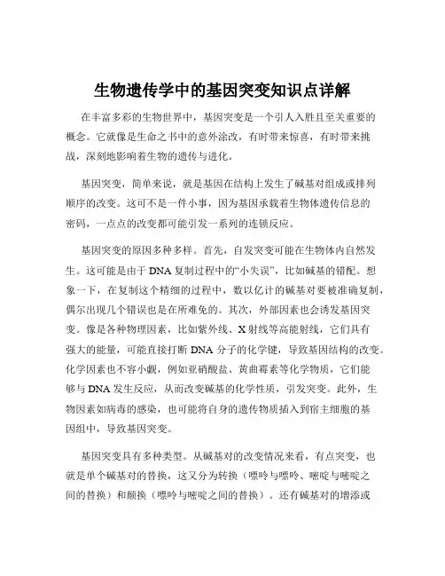 生物遗传学中的基因突变知识点详解