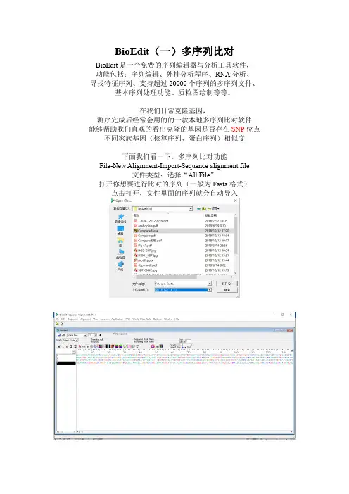 BioEdit(一)多序列比对