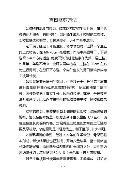 杏树修剪方法
