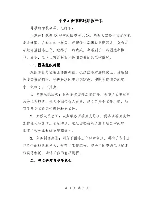 中学团委书记述职报告书