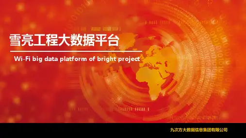 公安雪亮工程大数据平台介绍PPT课件