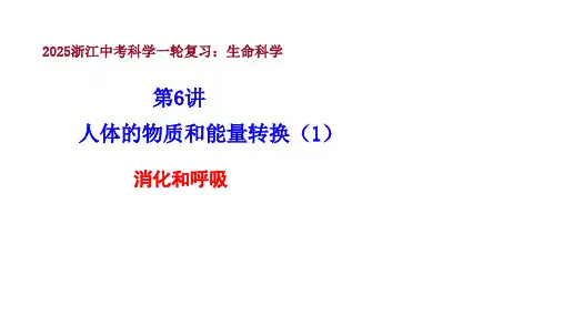 2025年浙江省中考科学一轮复习课件：第6讲人体的物质和能量转换(1) 