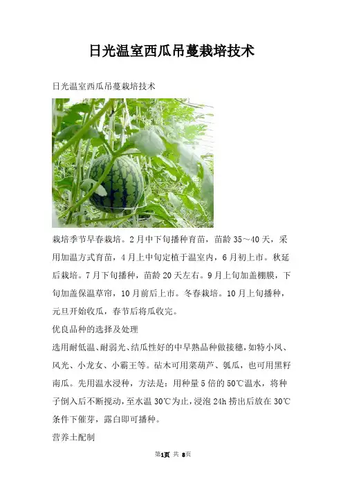 日光温室西瓜吊蔓栽培技术