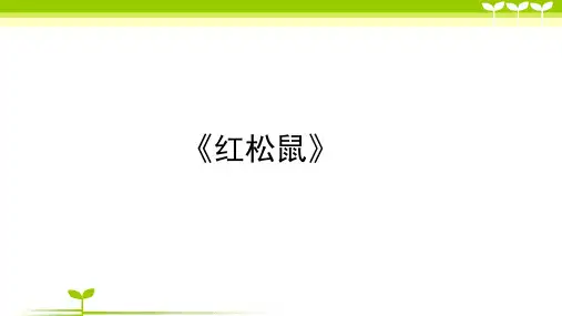 少儿6-7岁红松鼠(手工)—美术课件