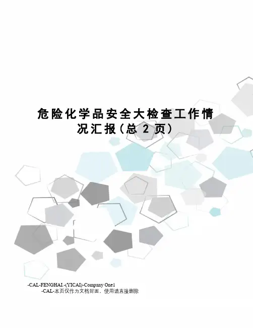 危险化学品安全大检查工作情况汇报